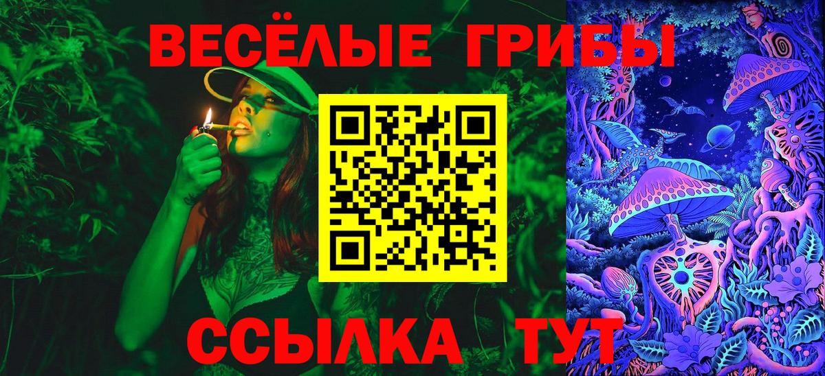 Псилоцибиновые грибы ЛСД  Псилоцибиновые грибы GOLDEN TEACHER  купить наркоту  Дзержинский  Вход с VPN 
