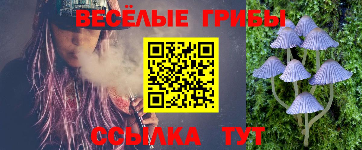 Галлюциногенные грибы Psilocybe Дзержинский
